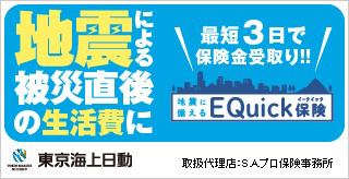 EQuick保険